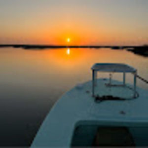 Meet your Posher, Hunter